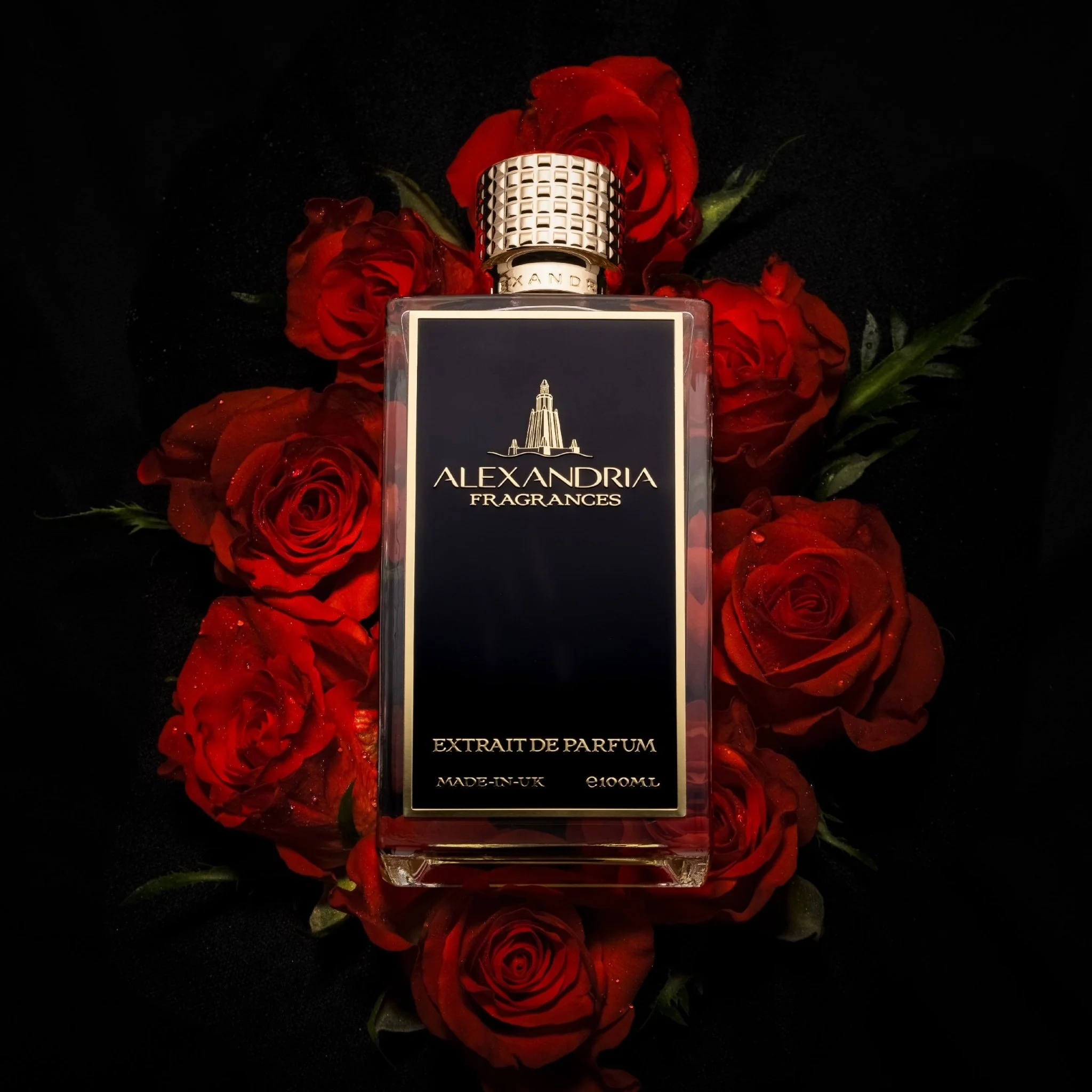 Oriental Leather Inspired by Dior Oud Ispahan - Image 3