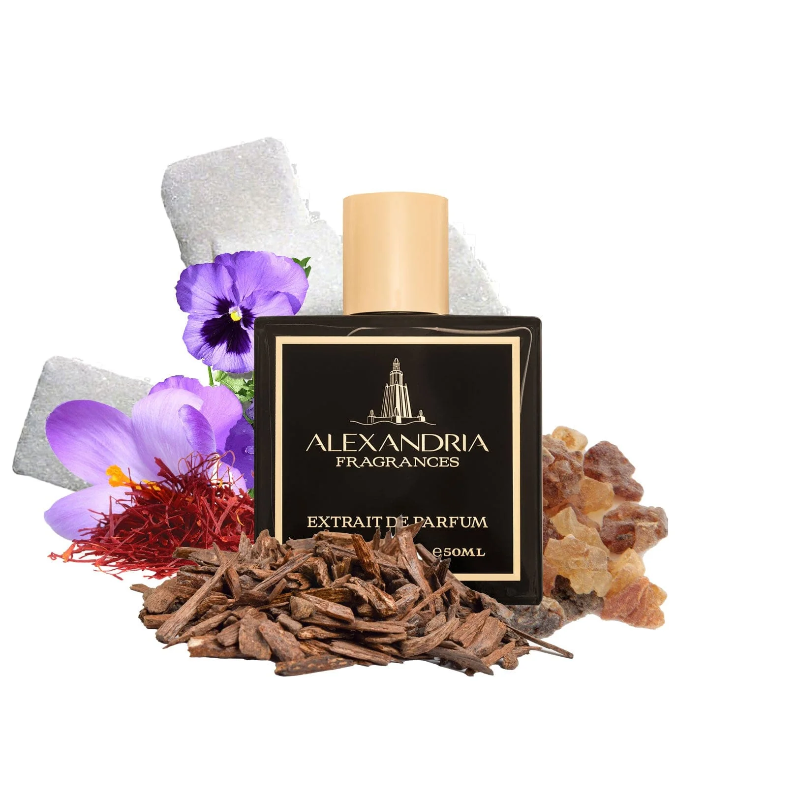 Ouddiction Inspired By Oud For Greatness Initio Perfumes - Image 2