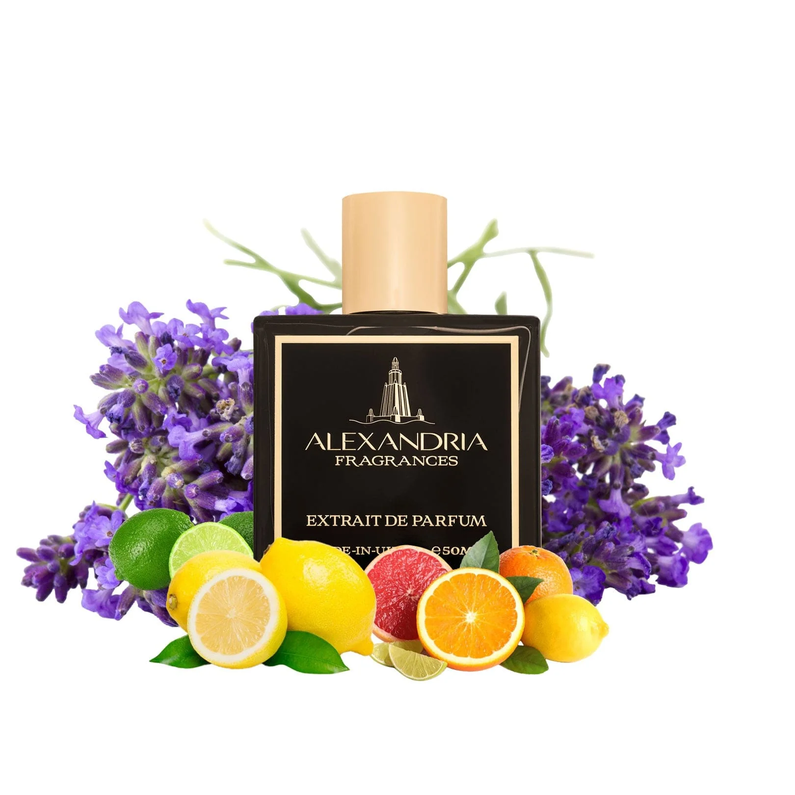 Scandalous Inspired By Roja Dove's Scandal Eau De Parfum - Image 2