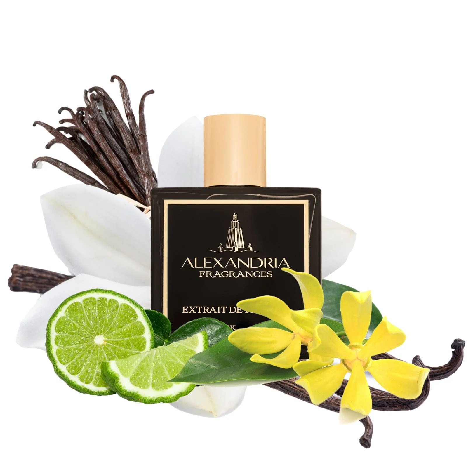 Vanille Doree Inspired By Guerlain Spiritueuse Double Vanille - Image 2